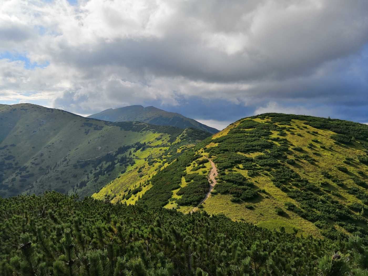 IMG_20180725_142233 (1)