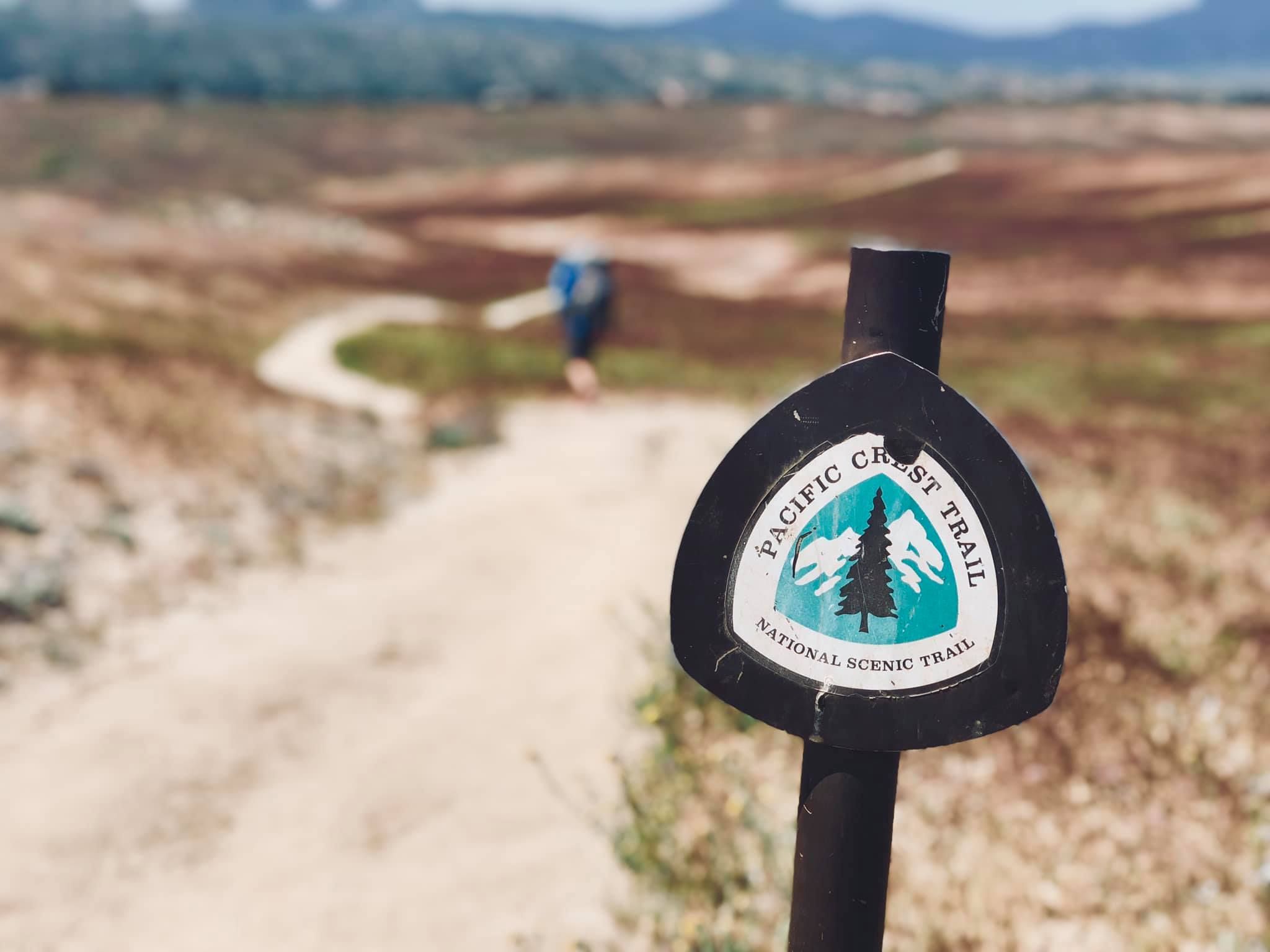 59533633_387277271867792_8375753940272152576_o