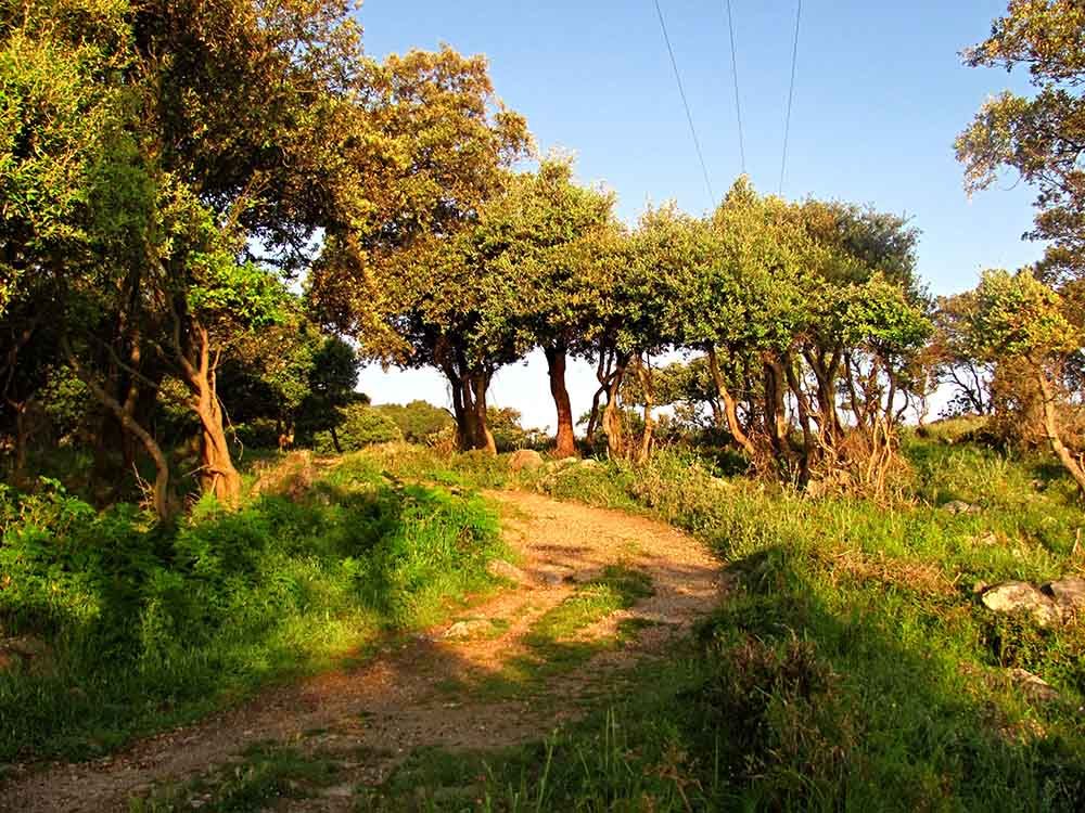 Camino-de-Santiago-de-Compostela-Spanelsko-dalkovy-trek
