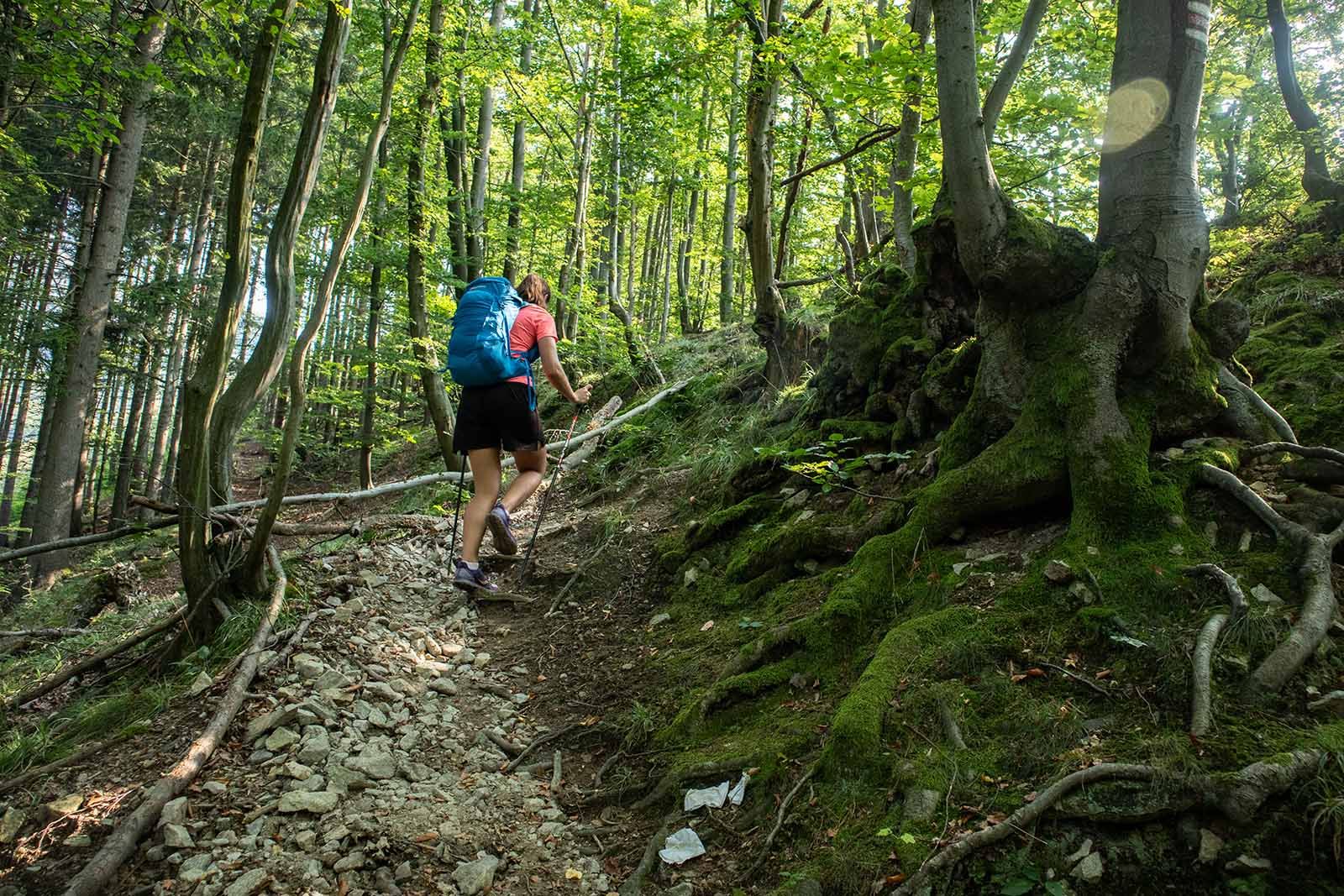 Žena jdoucí do kopce serpentinami s ultralehkým batohem a trekovými holemi