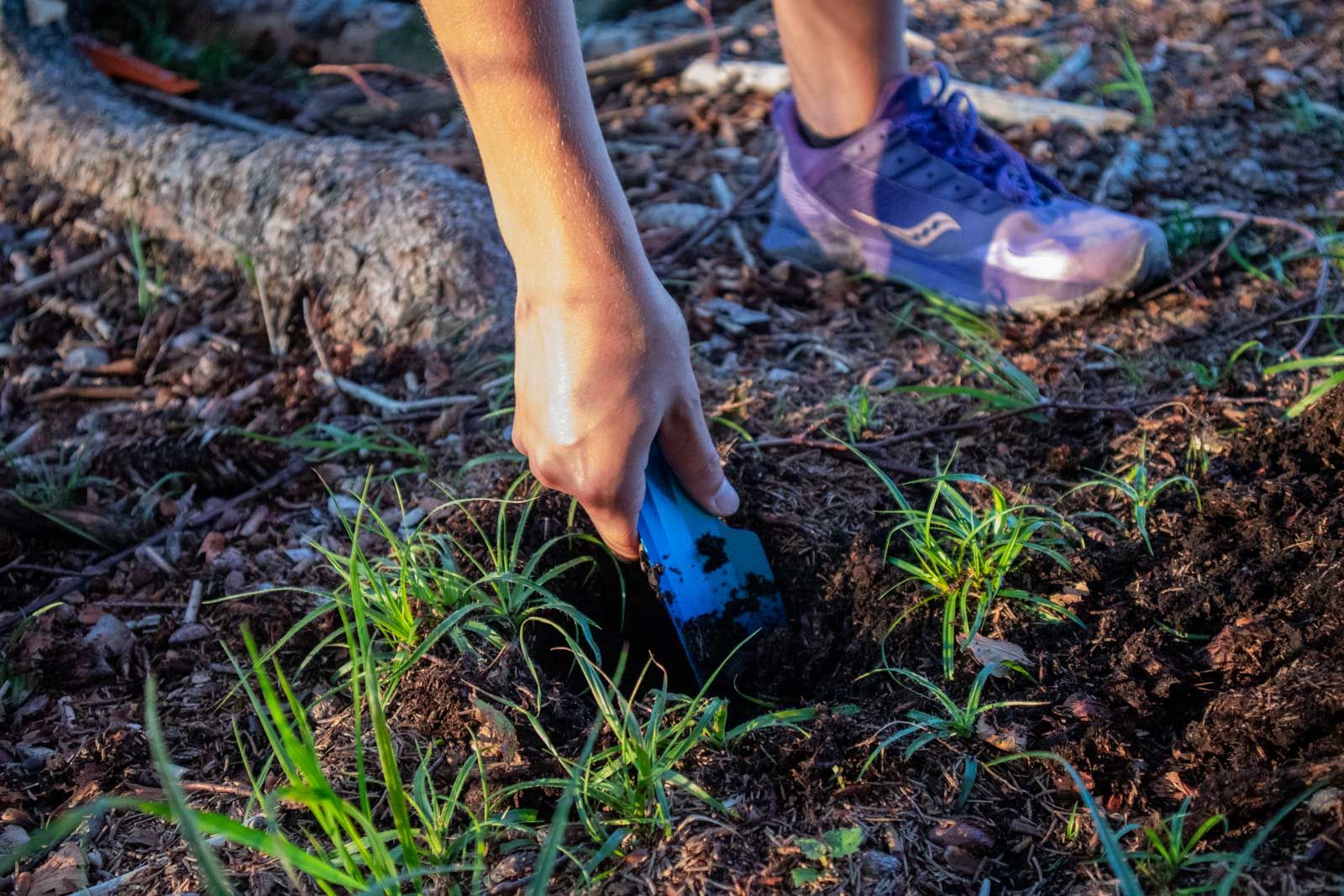 Světle modrá, ultralehká toaletní lopatka při používání zabořená v hlíně.