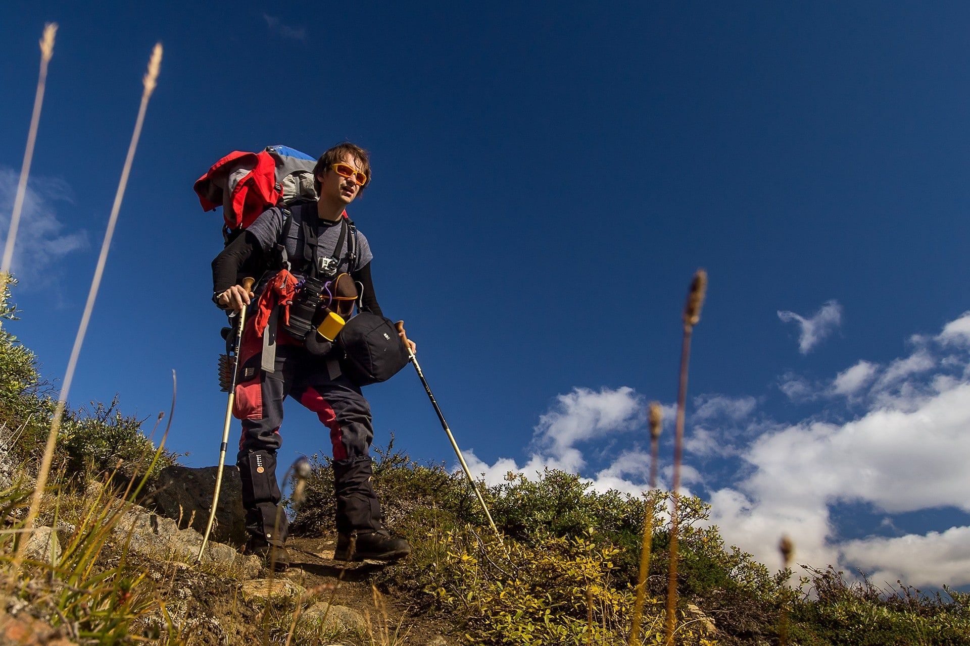 2012-autoportret-Gronsko-a