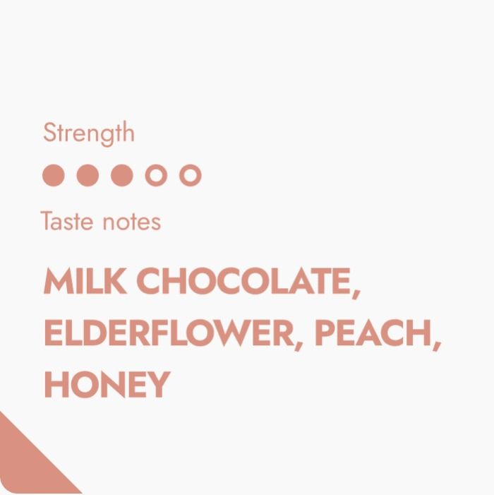 Honduras Coffeebrewer Coffeebrewer The Brew Company 533648 1200x (1)