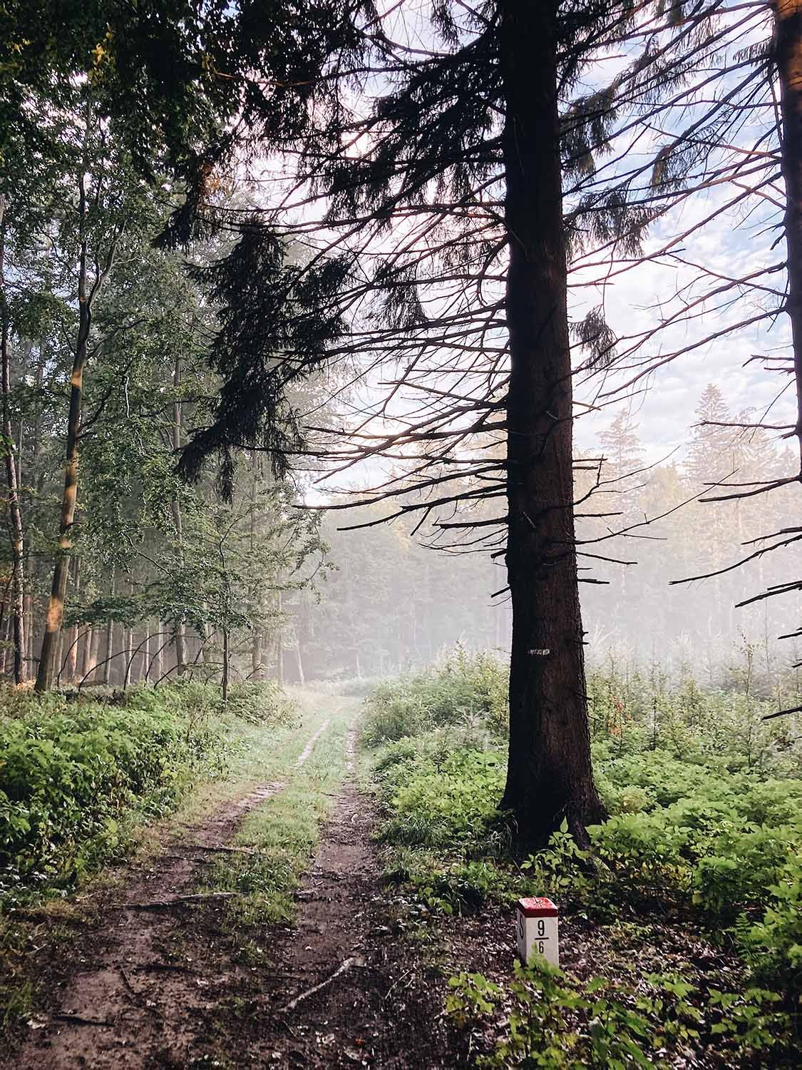 Den 3 Rano Po Bource Edit