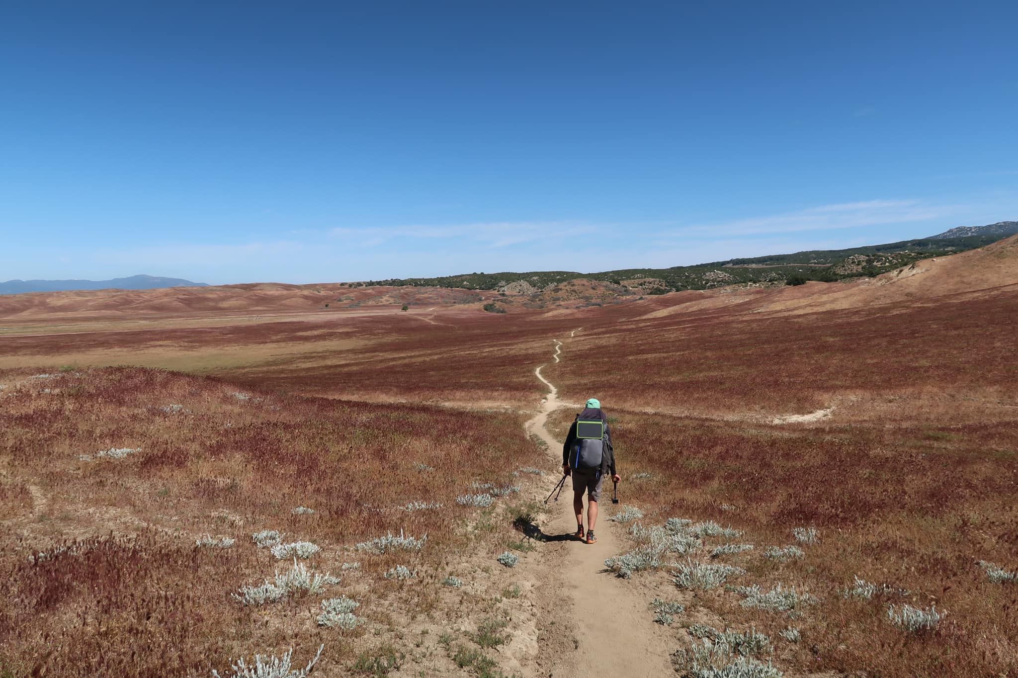 59350519_387277335201119_2743749018491289600_o