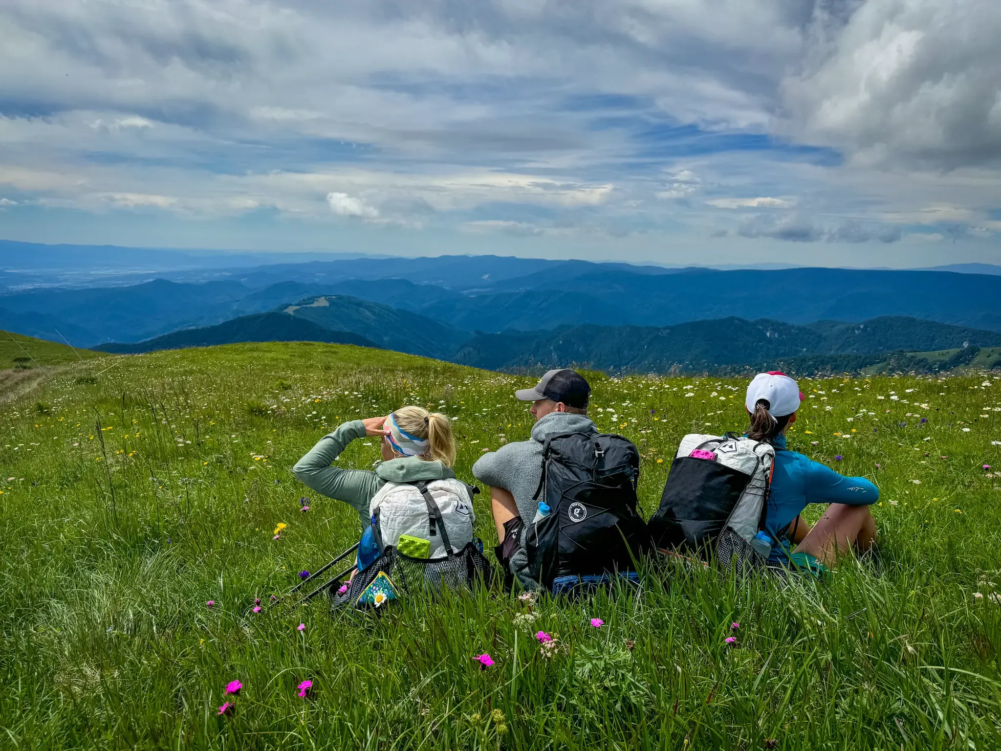 Gramino home page blog post.webp