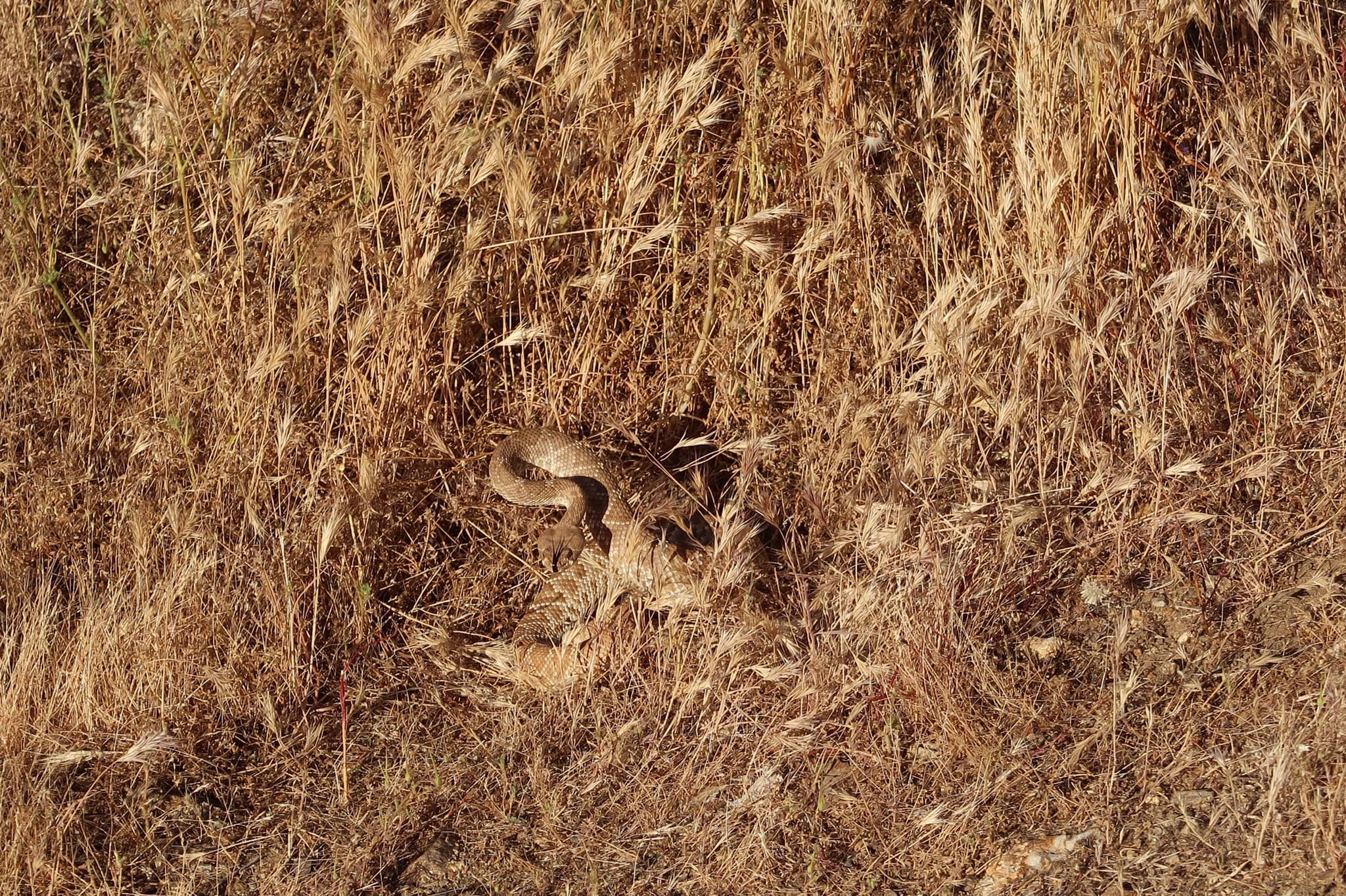 59537381_387277095201143_3246318620858384384_o