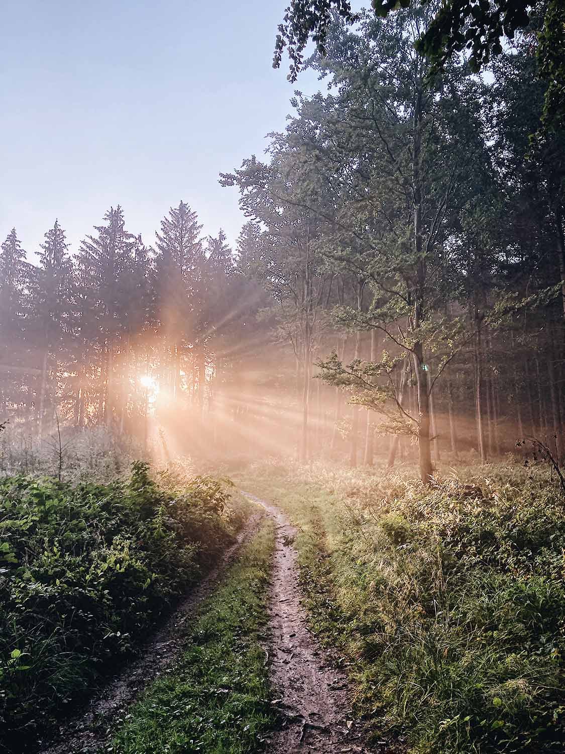 Den 3 Rano Po Bource 2 EDIT