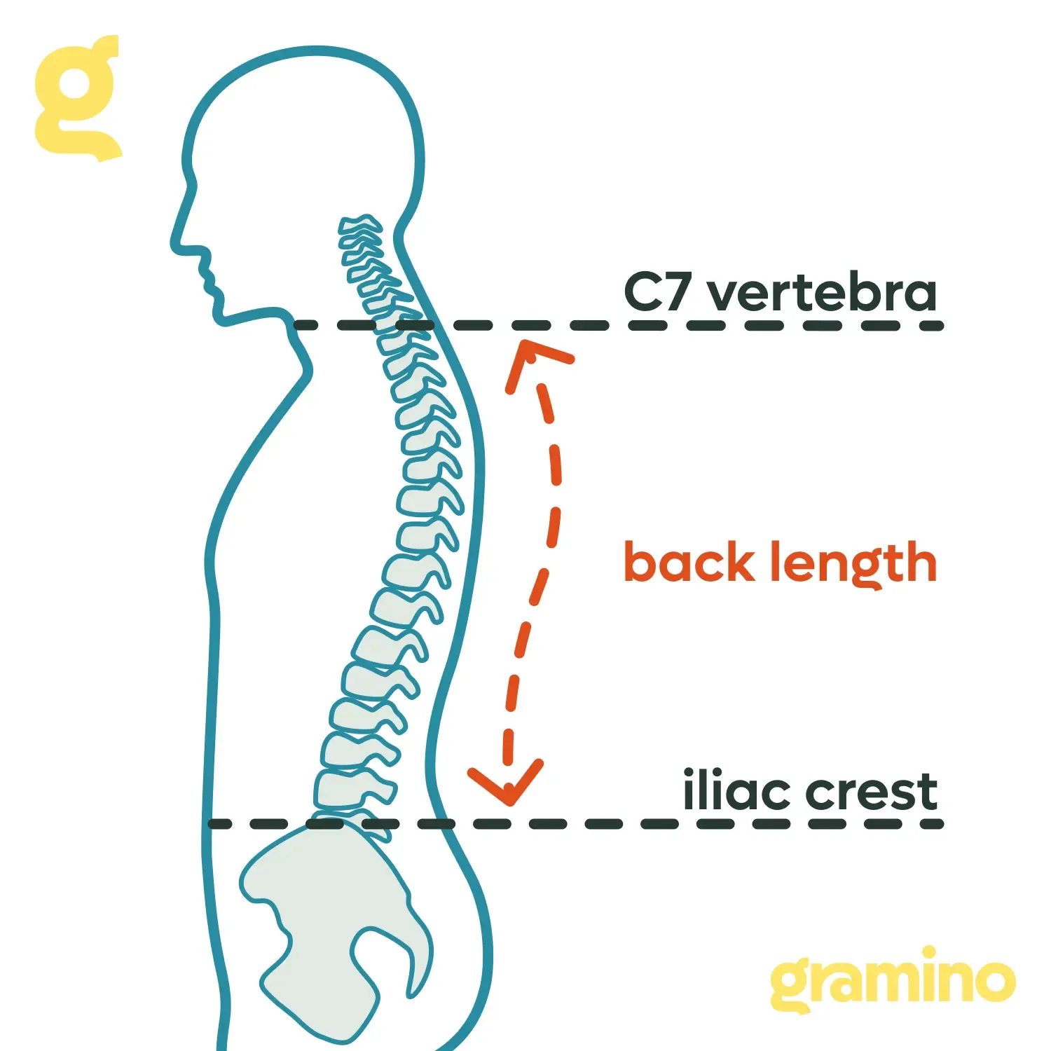 Size chart Ultralight Hiking Backpack velikost turistického batohu Gramino.webp
