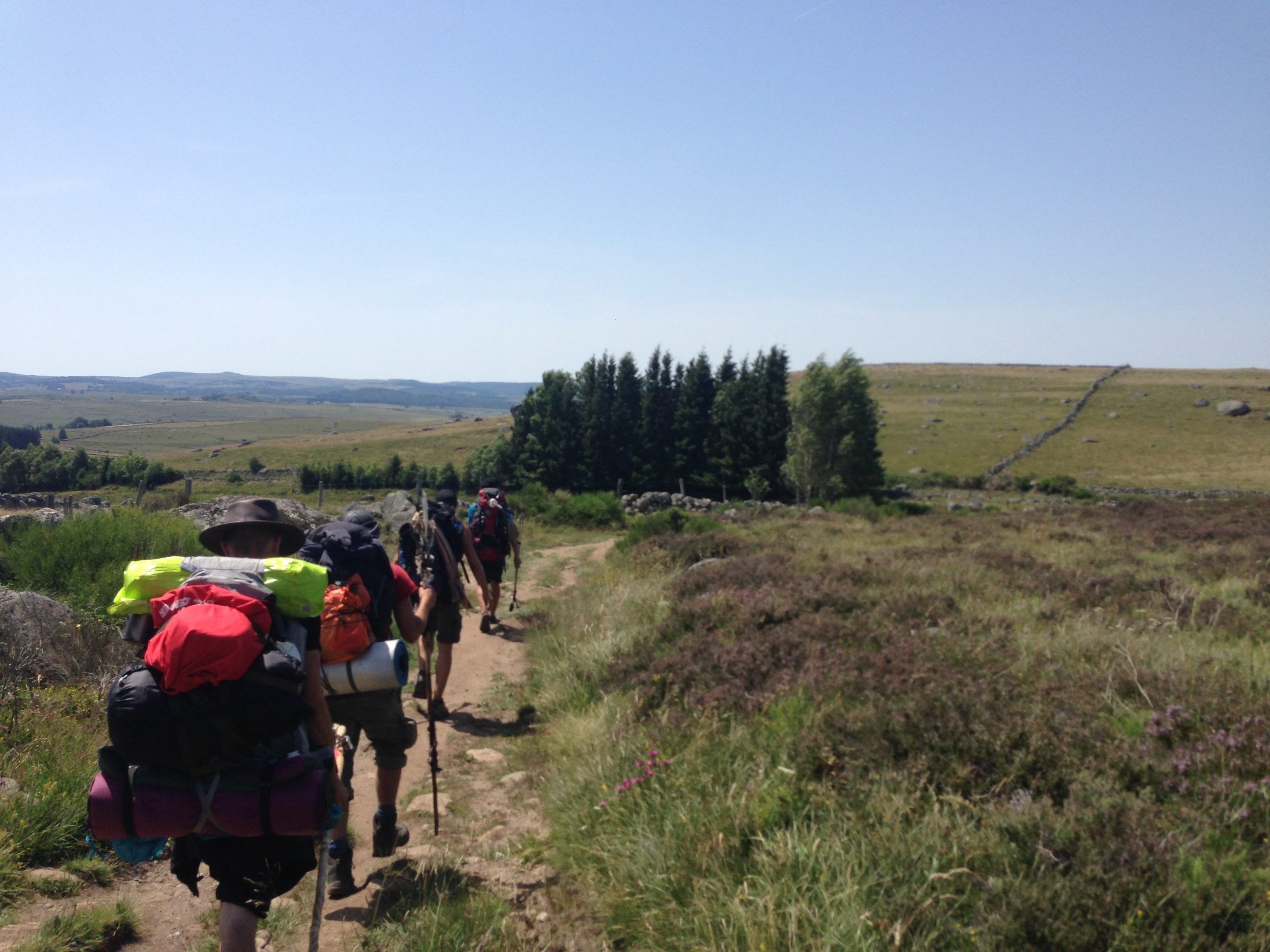 29390801_10155352610549327_1712613366_o