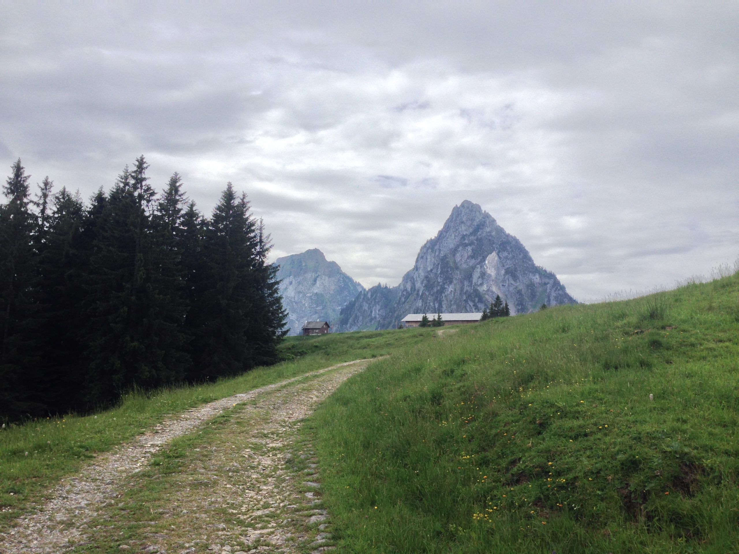 28944601_10155352610569327_810597261_o