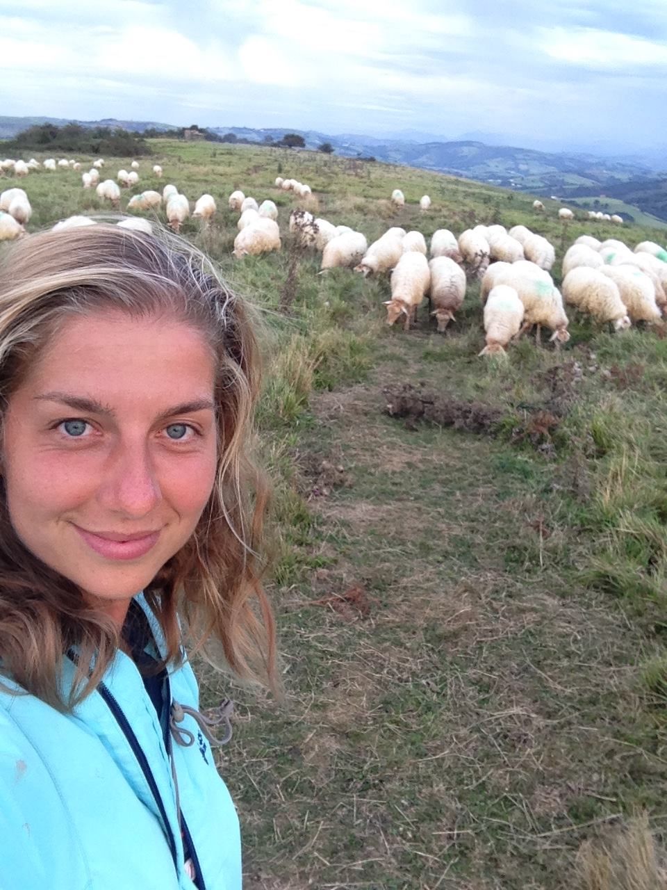 29242411_10155352610449327_424399219_o