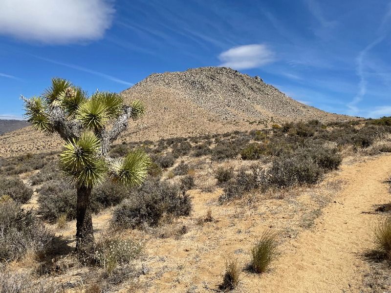 IMG_3736-fotor-202402132059-1