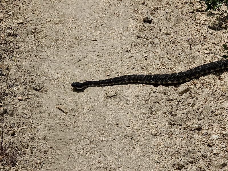 a8977d0d-8086-482c-8f41-5d2f11d02791-fotor-20240213145630