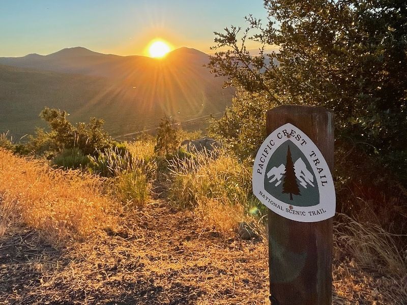 IMG_9206-fotor-2024021320421-1-1