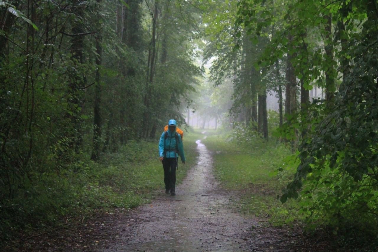 29243577_10155352610434327_13472563_o