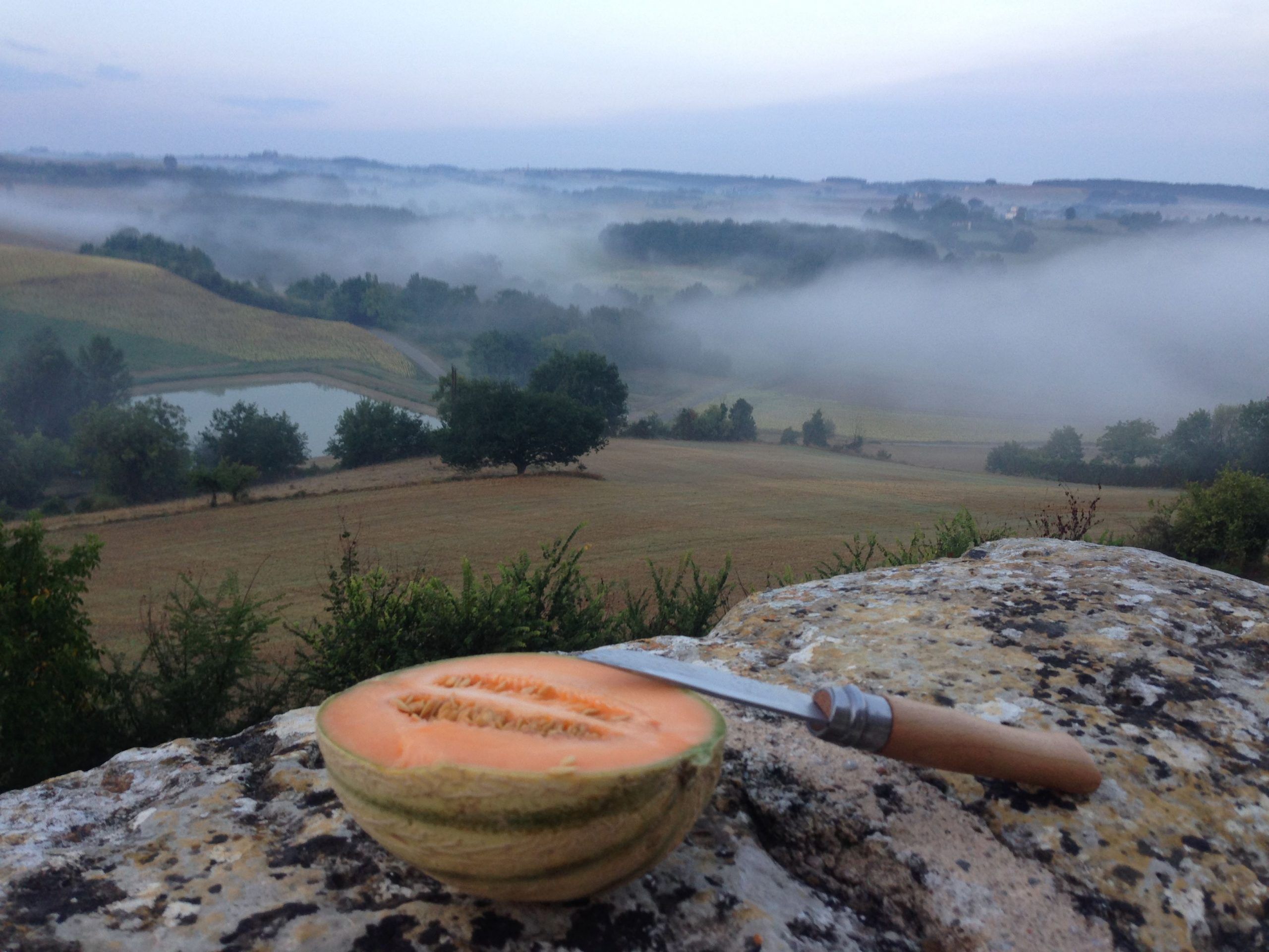 29242524_10155352610584327_1385729425_o