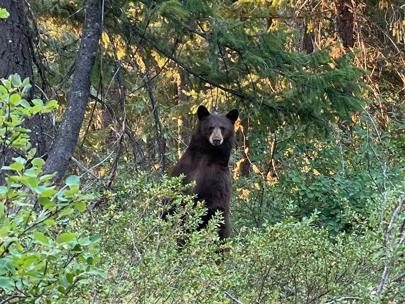 IMG_4140-fotor-2024021315348